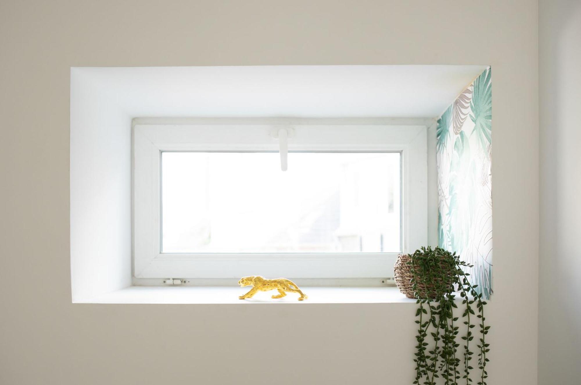 Jungle Appartement Lumineux Plein Centre 滨海布洛涅 外观 照片