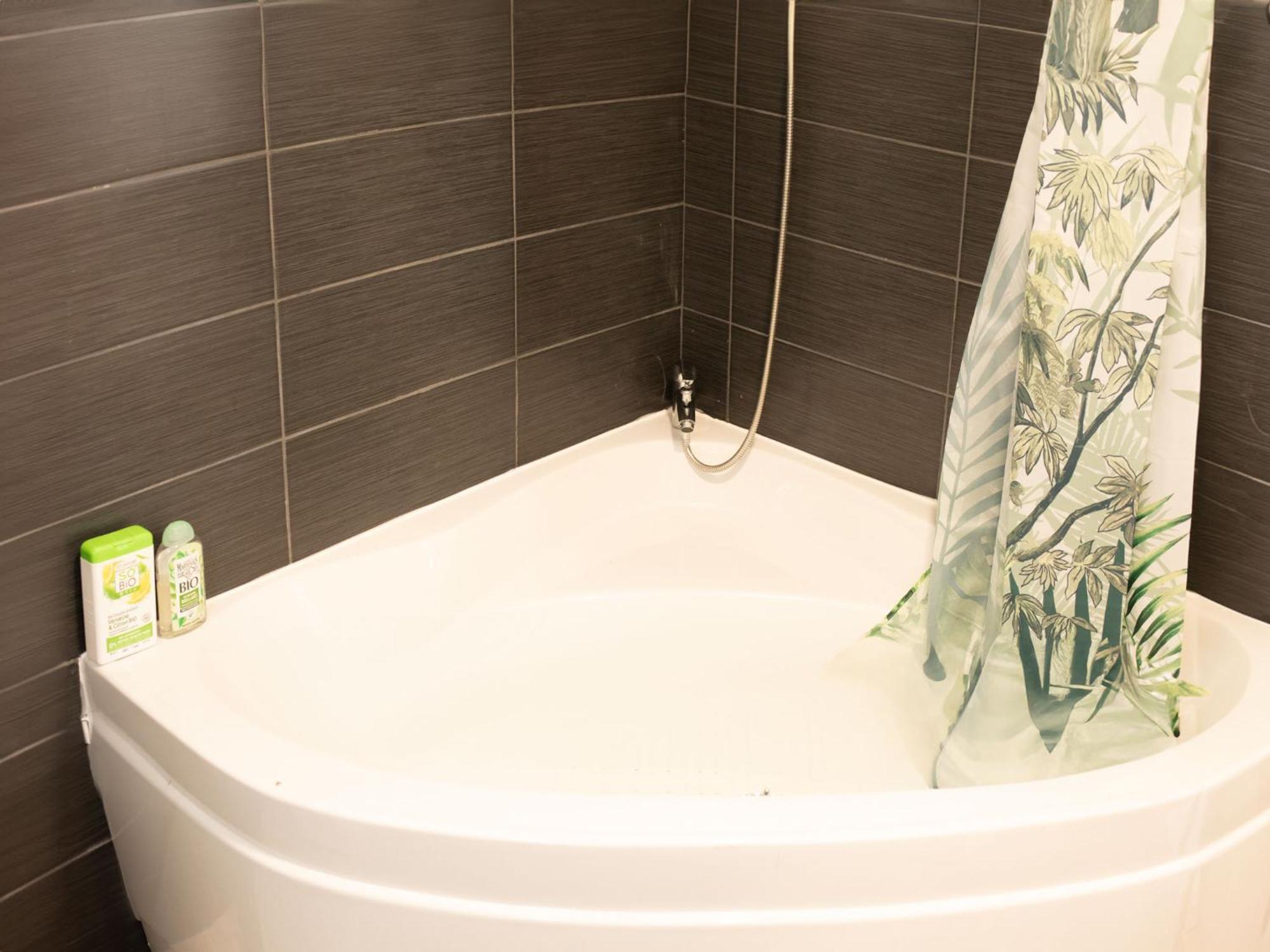 Jungle Appartement Lumineux Plein Centre 滨海布洛涅 外观 照片